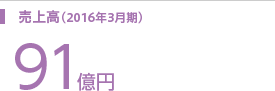 売上高（2016年3月期） 91億円