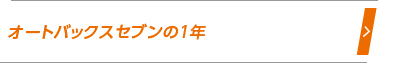 オートバックスセブンの1年